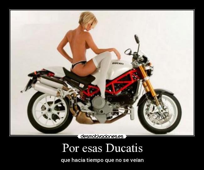 carteles werqtgh desmotivaciones