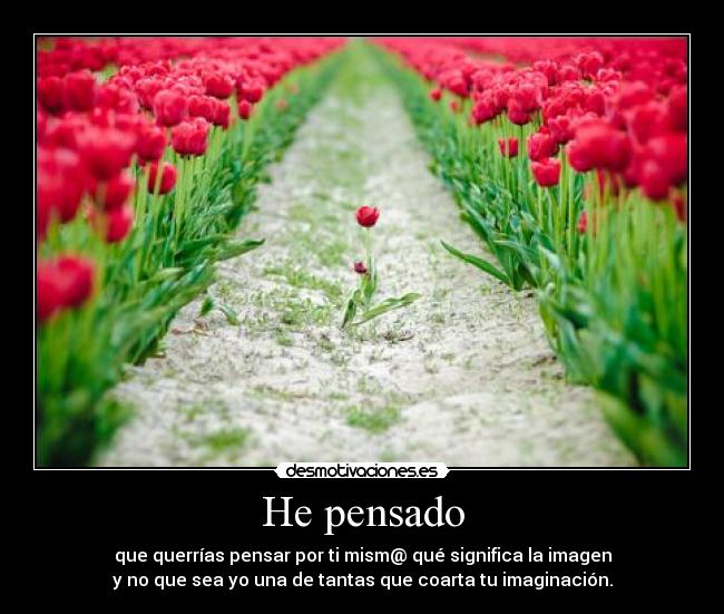 He pensado - que querrías pensar por ti mism@ qué significa la imagen
y no que sea yo una de tantas que coarta tu imaginación.