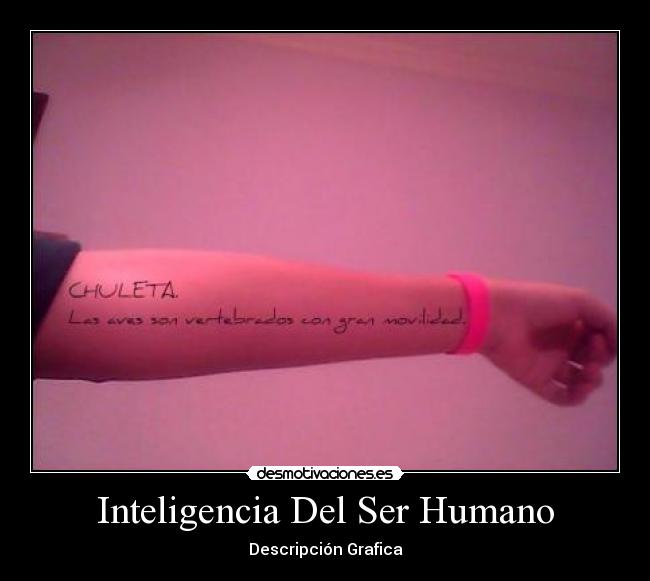 carteles inteligencia del ser humano desmotivaciones