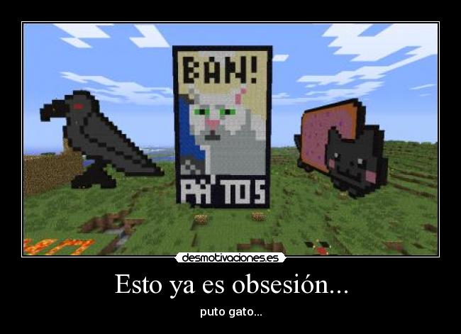 Esto ya es obsesión... - puto gato...