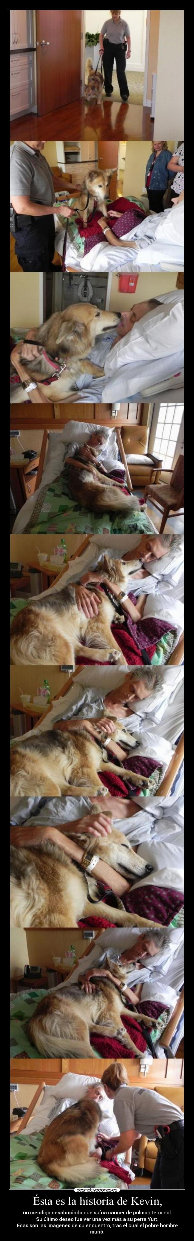 carteles historia bollicao fuerza valor hakunamatata hipsalami bocachancla elclanviral desmotivaciones