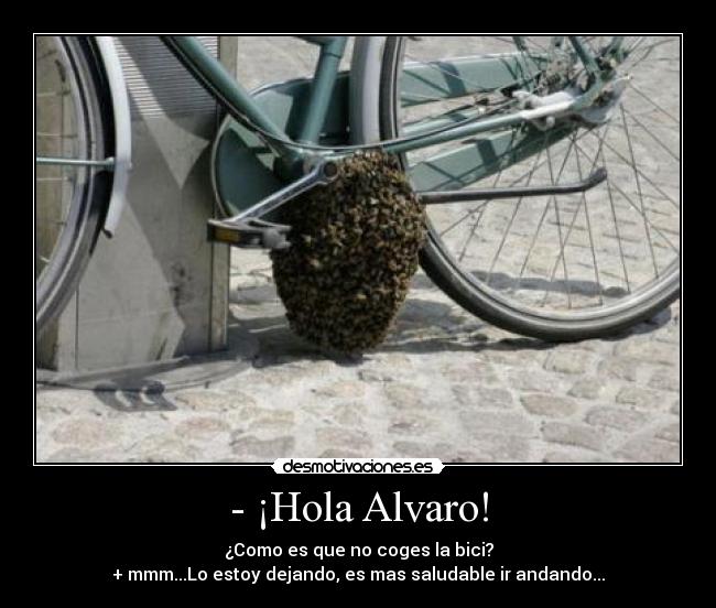 - ¡Hola Alvaro! - ¿Como es que no coges la bici?
+ mmm...Lo estoy dejando, es mas saludable ir andando...