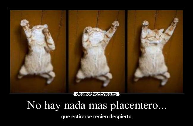 No hay nada mas placentero... - que estirarse recien despierto.