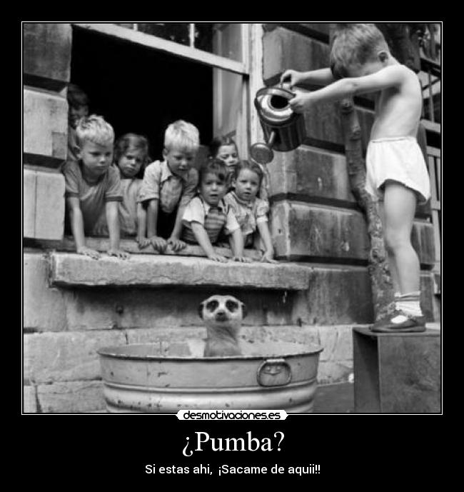 ¿Pumba? - Si estas ahi, ¡Sacame de aquii!!