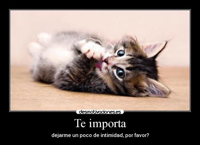 Te importa - 