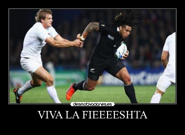 carteles mateix desmotivaciones