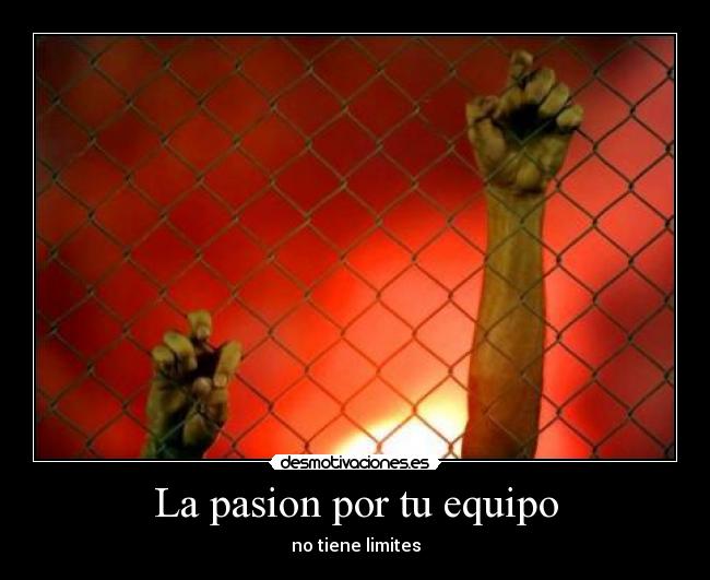 La pasion por tu equipo - 