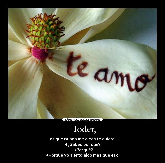-Joder, - es que nunca me dices te quiero.
+¿Sabes por qué?
-¿Porqué?
+Porque yo siento algo más que eso.
