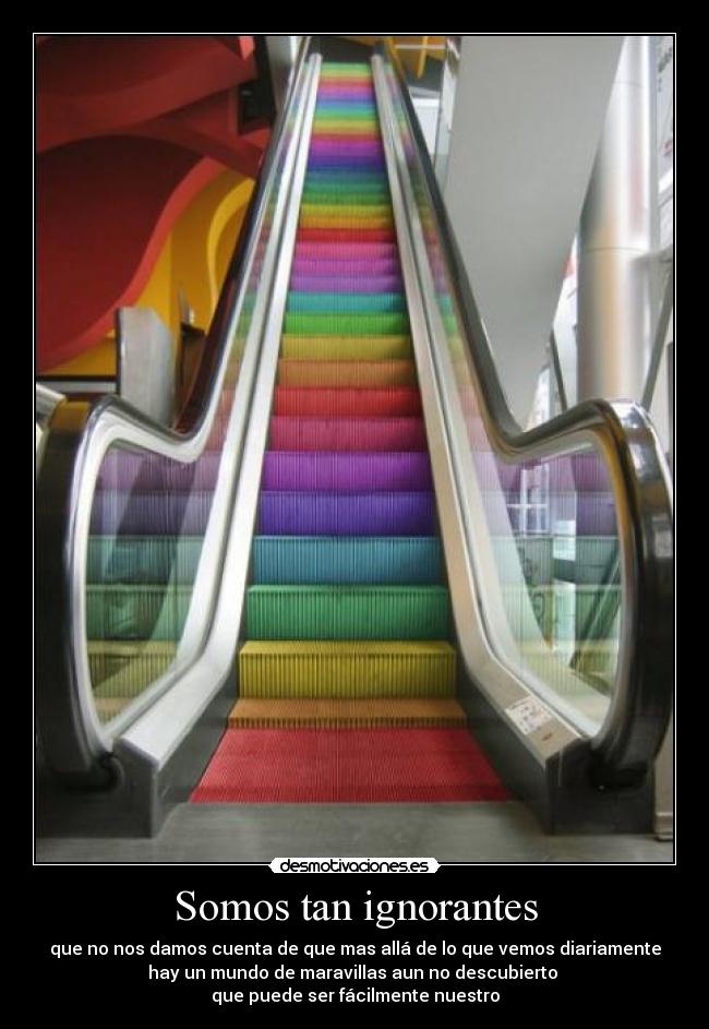 Somos tan ignorantes - 