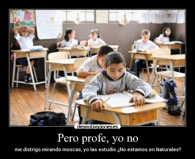 Pero profe, yo no - me distrigo mirando moscas, yo las estudio ¿No estamos en Naturales?
