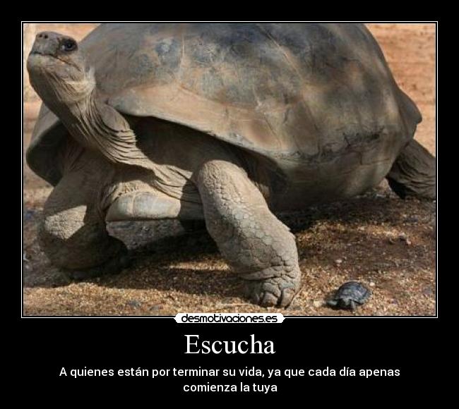 Escucha - A quienes están por terminar su vida, ya que cada día apenas comienza la tuya