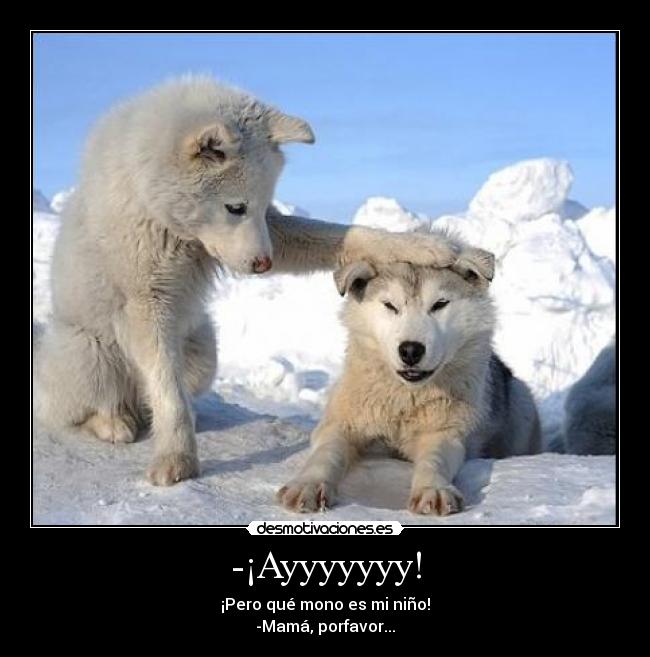 -¡Ayyyyyyy! - ¡Pero qué mono es mi niño!
-Mamá, porfavor...