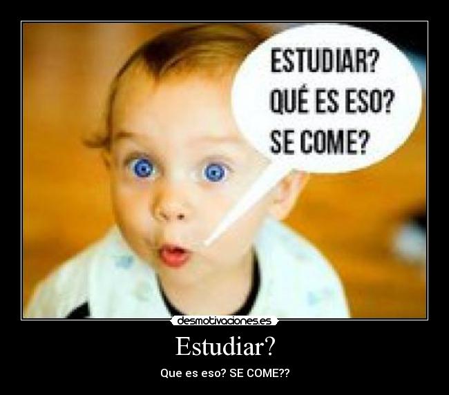 Estudiar? - Que es eso? SE COME??