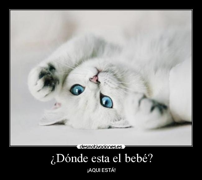 ¿Dónde esta el bebé? - 