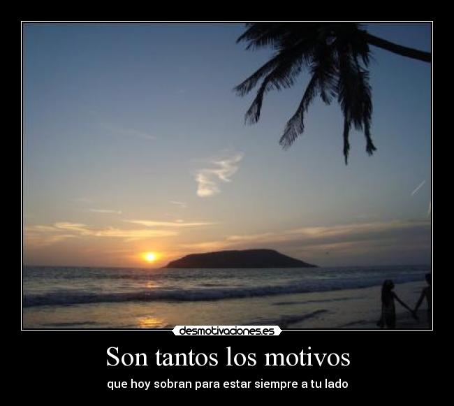 Son tantos los motivos -