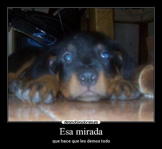 Esa mirada - 