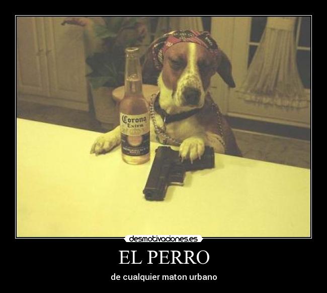 EL PERRO - 