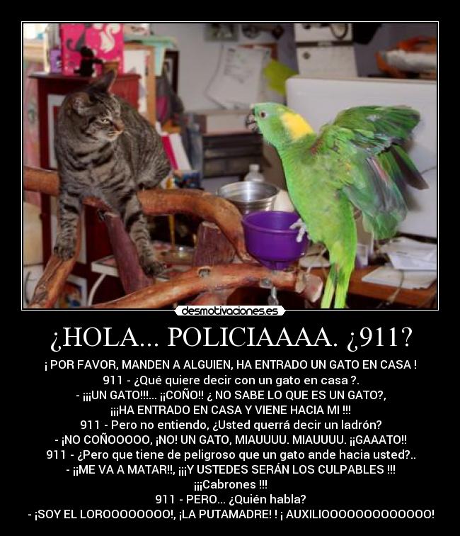 ¿HOLA... POLICIAAAA. ¿911? -