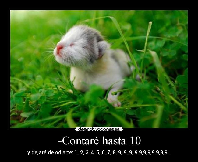 carteles contare hasta si gatoses monoso goytizolo desmotivaciones