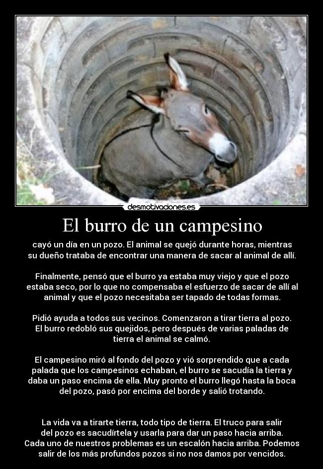 El burro de un campesino - 
