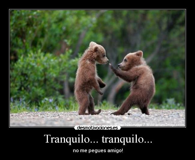 Tranquilo... tranquilo... - 