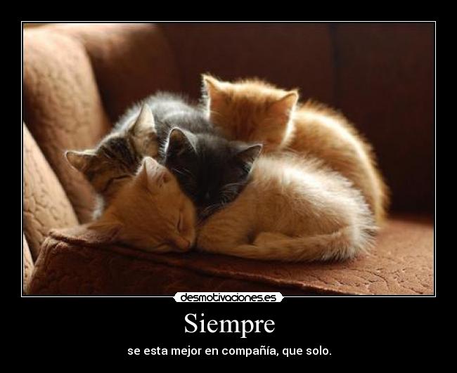 Siempre - 