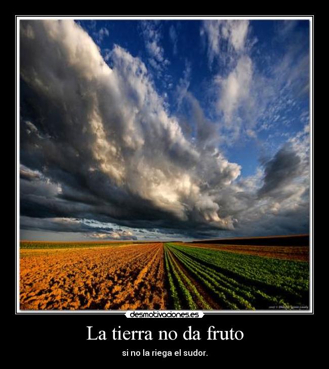 La tierra no da fruto - si no la riega el sudor.