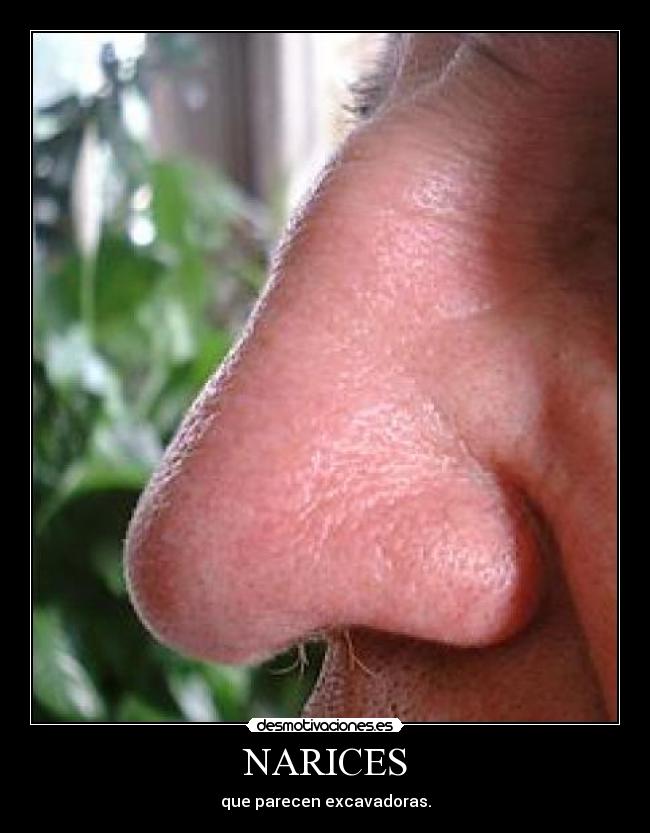 NARICES - que parecen excavadoras.