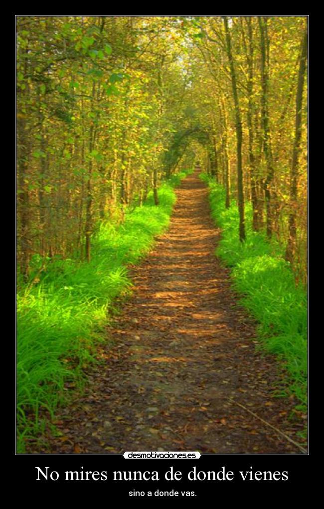 No mires nunca de donde vienes - sino a donde vas.
