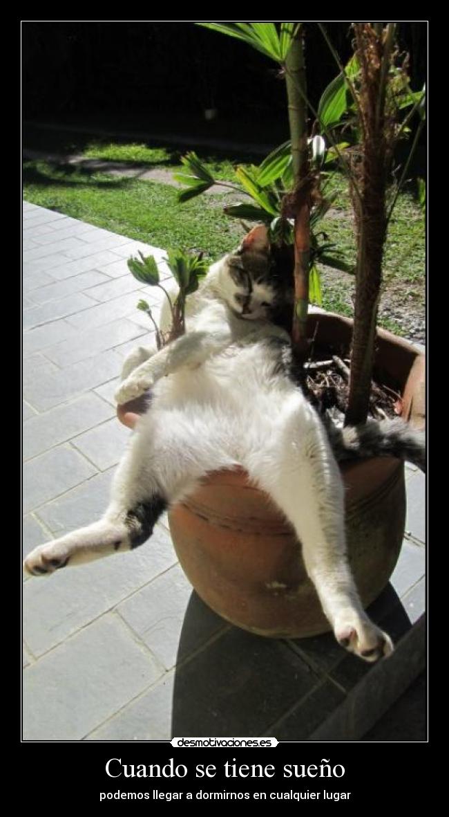 Cuando se tiene sueño -