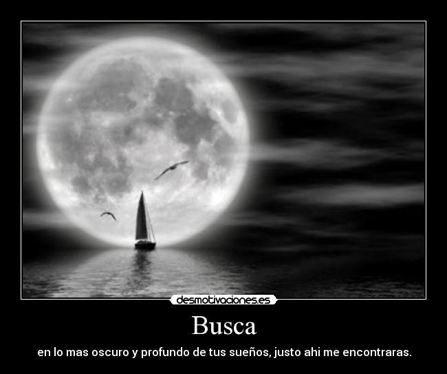 Busca - 