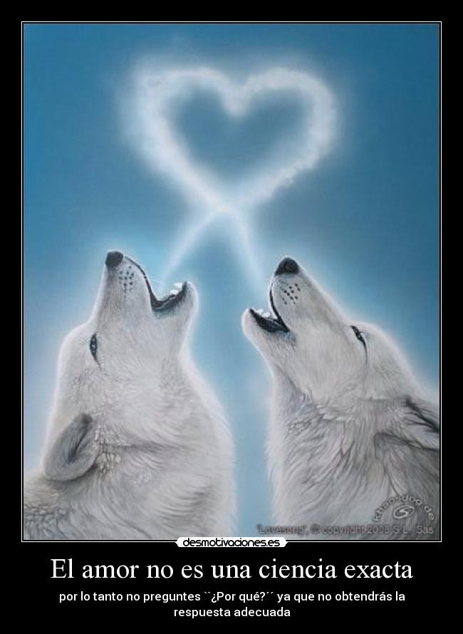 El amor no es una ciencia exacta - por lo tanto no preguntes ``¿Por qué?´´ ya que no obtendrás la respuesta adecuada
