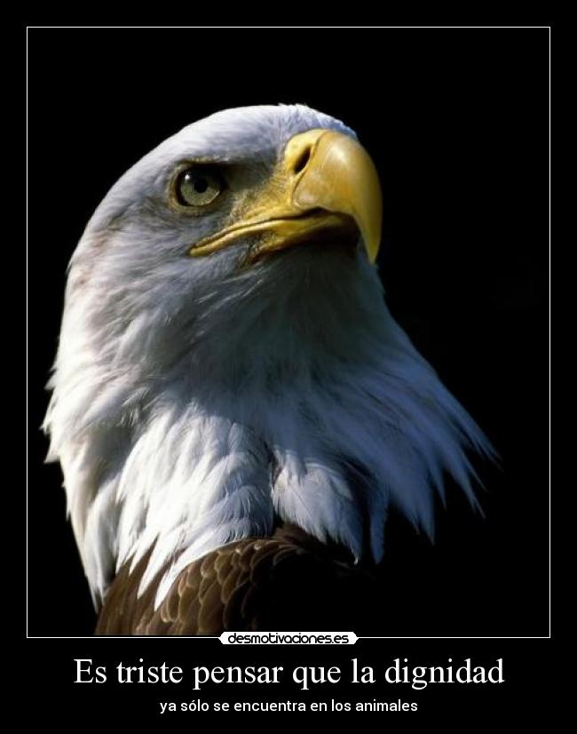 Es triste pensar que la dignidad -