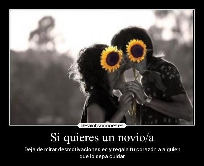 Si quieres un novio/a - Deja de mirar desmotivaciones.es y regala tu corazón a alguien
que lo sepa cuidar