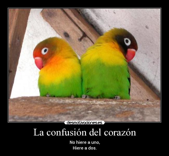 La confusión del corazón - No hiere a uno,
Hiere a dos.