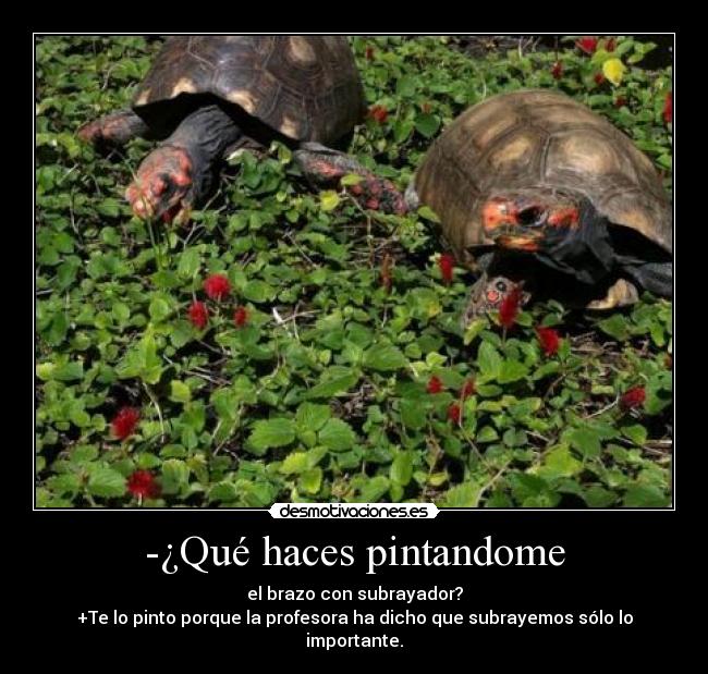 -¿Qué haces pintandome - el brazo con subrayador?
+Te lo pinto porque la profesora ha dicho que subrayemos sólo lo importante.