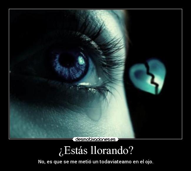 ¿Estás llorando? -