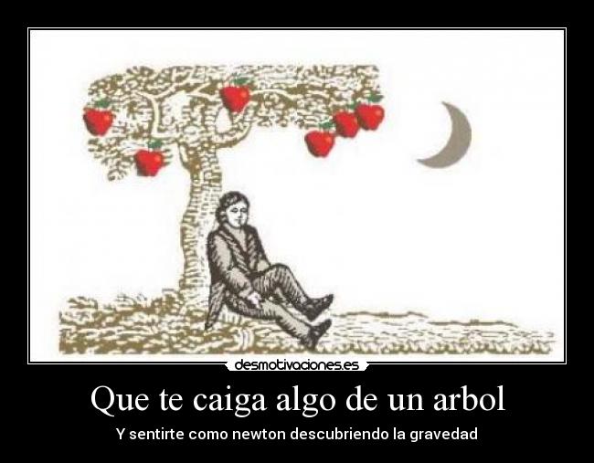 Que te caiga algo de un arbol - Y sentirte como newton descubriendo la gravedad