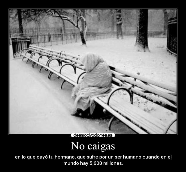 No caigas - en lo que cayó tu hermano, que sufre por un ser humano cuando en el
mundo hay 5,600 millones.