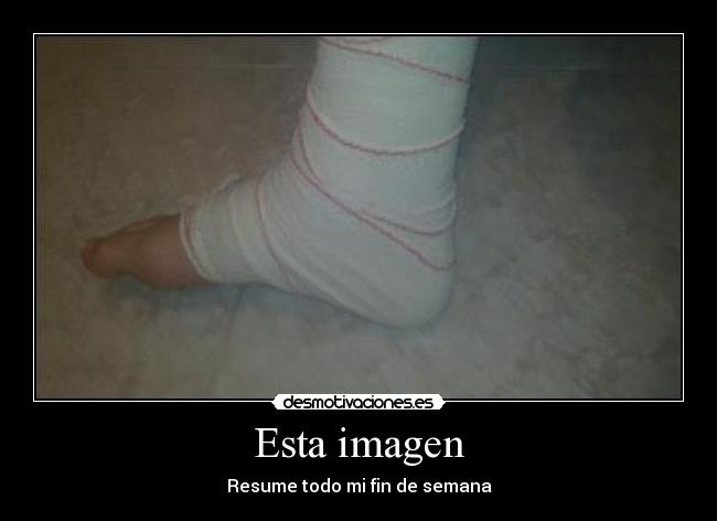 carteles watagatapitusberry 313 tengo una excusa para mover puto dedo desmotivaciones