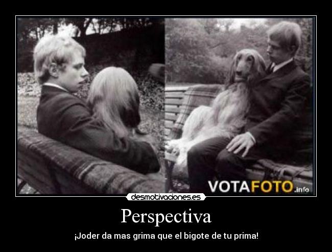 Perspectiva -