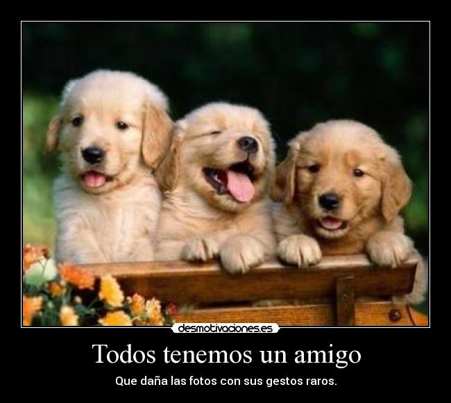 Todos tenemos un amigo -