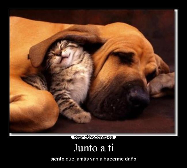 Junto a ti - siento que jamás van a hacerme daño.