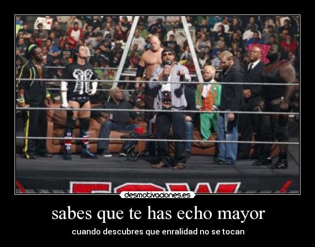 sabes que te has echo mayor - cuando descubres que enralidad no se tocan