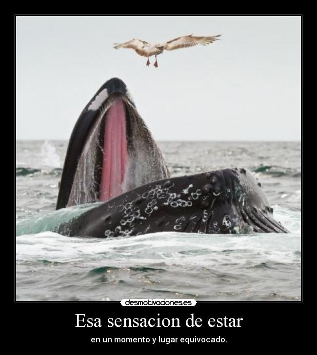 Esa sensacion de estar - en un momento y lugar equivocado.