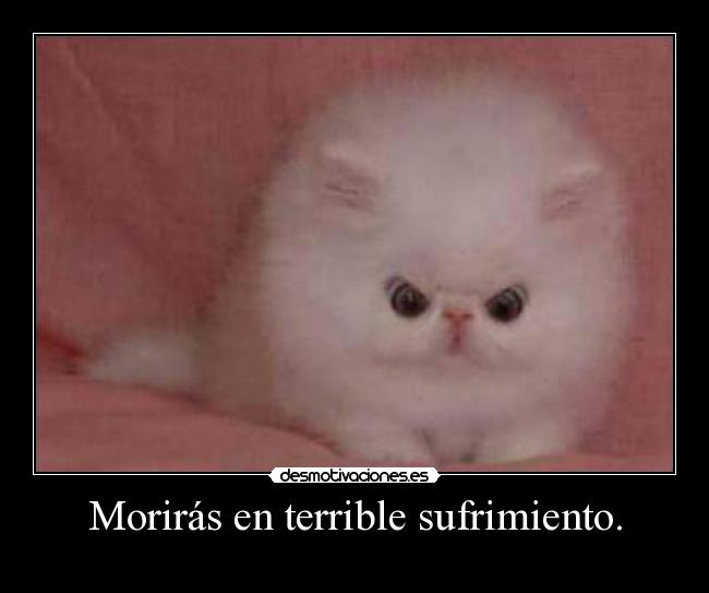 Morirás en terrible sufrimiento. -