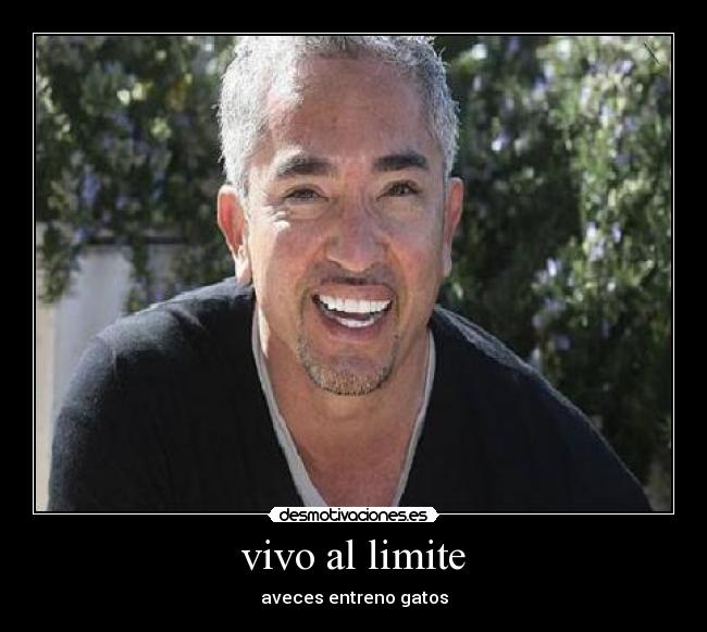 vivo al limite - aveces entreno gatos