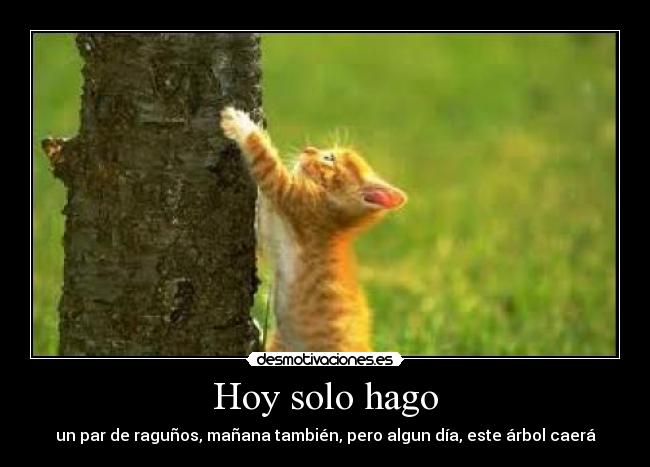 Hoy solo hago - 
