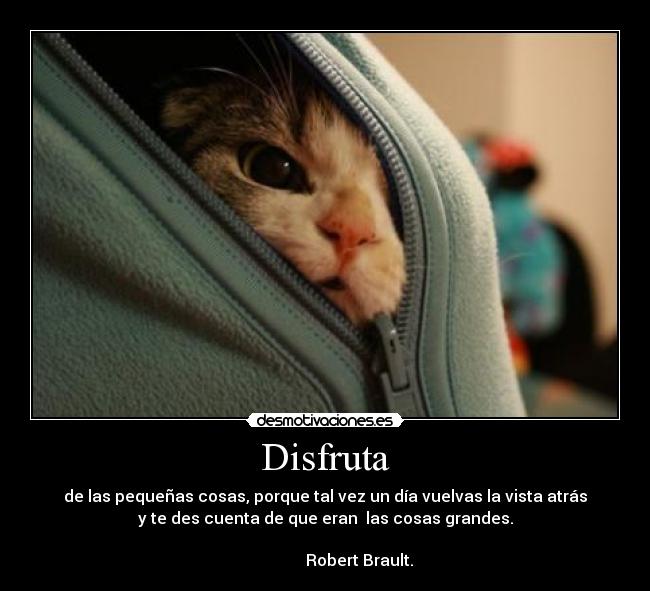 Disfruta - de las pequeñas cosas, porque tal vez un día vuelvas la vista atrás
y te des cuenta de que eran las cosas grandes.
Robert Brault.