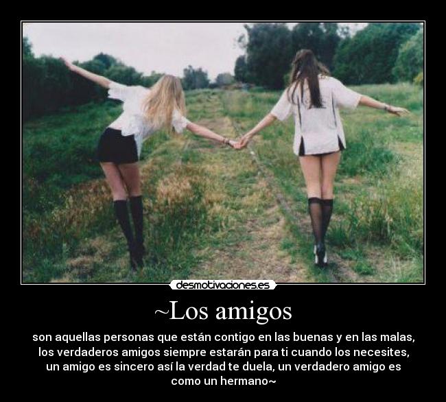 ~Los amigos -